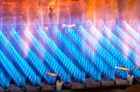 Warnford gas fired boilers
